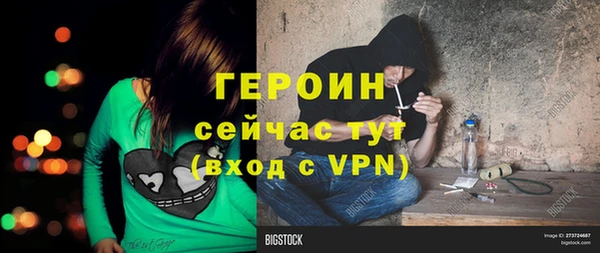стаф Новоузенск
