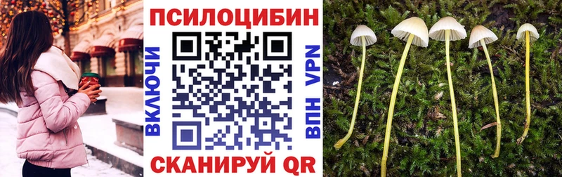 купить наркотики сайты  Курган  Галлюциногенные грибы Cubensis 